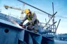 Bosch EXPERT EXWX18V-15S